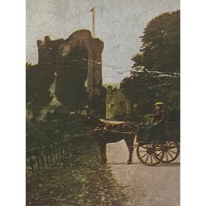 Atq Stereoscope Photo Card Hand Colored B&W World Series No115 Killarney Ireland